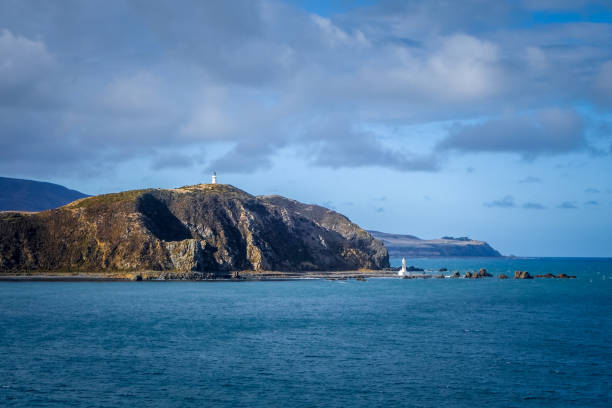 ウェリントン、ニュージーランドの近くの崖の上の灯台 - marlborough region zealand new landscape ストックフォトと画像