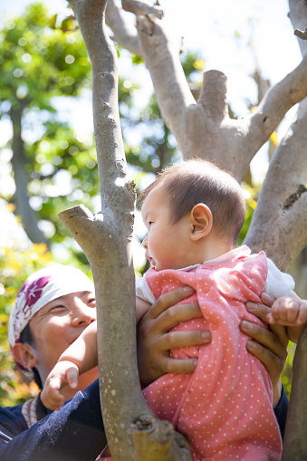 Japanese baby girl sitting on tree