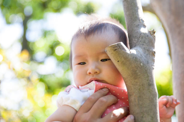 istock Japanese baby girl sitting on tree 870040884
