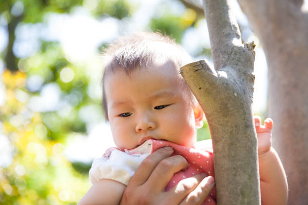 istock Japanese baby girl sitting on tree 870041008