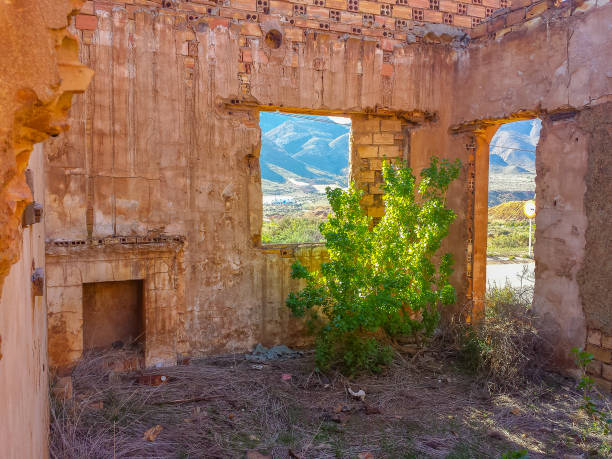 istock Building ruins in desertic zone 870041420