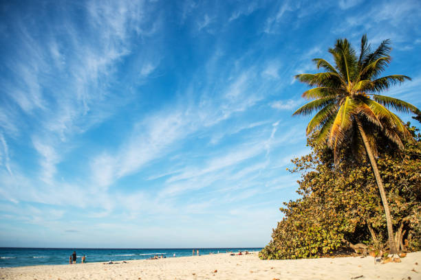 Tropical landscape at Caribbean sea, Varadero, Cuba