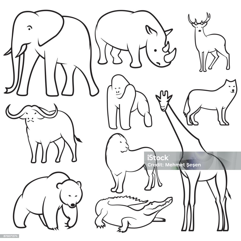 Collection Of Wild Animals Sketches Stock Illustration - Download Image Now  - Animal, Cartoon, Crocodile - iStock