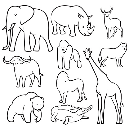 Collection Of Wild Animals Sketches Stock Illustration - Download Image Now  - Animal, Cartoon, Crocodile - iStock