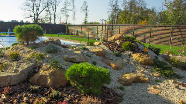 istock Rockery with big stones and different plants in the garden 870073032