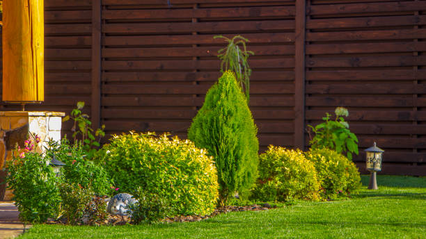 Rockery with big stones and different plants in the garden Rockery with big stones and different plants in the garden. biot stock pictures, royalty-free photos & images