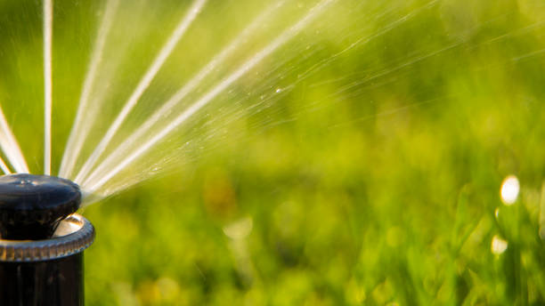 istock A rotating sprinkler spraying a water into the backyard 870073328