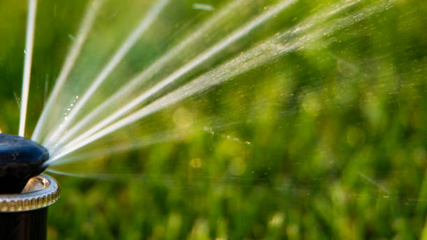 istock A rotating sprinkler spraying a water into the backyard 870075572