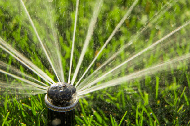 istock A rotating sprinkler spraying a water into the backyard 870075822