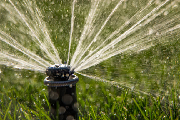 istock A rotating sprinkler spraying a water into the backyard 870075870