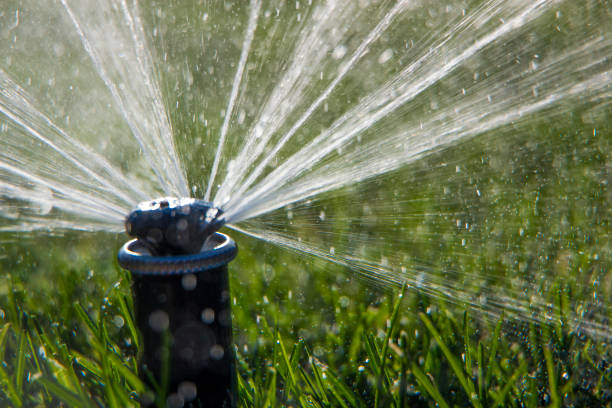 istock A rotating sprinkler spraying a water into the backyard 870075912
