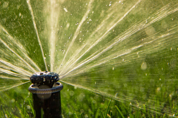 istock A rotating sprinkler spraying a water into the backyard 870075992