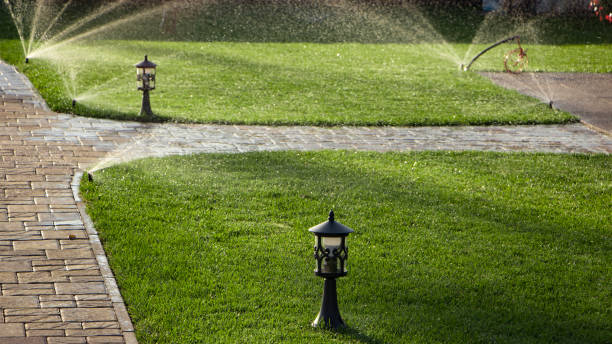 istock A rotating sprinkler spraying a water into the backyard 870076178