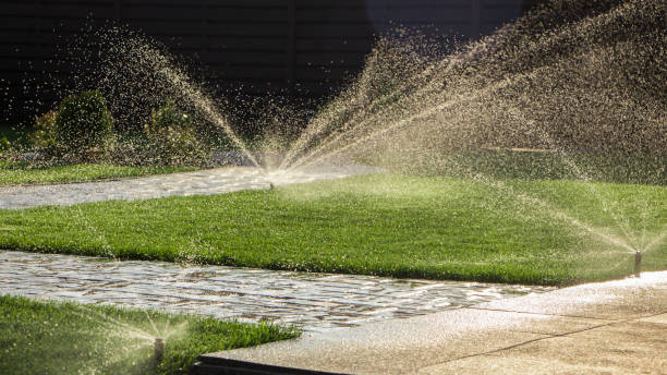 istock A rotating sprinkler spraying a water into the backyard 870076252