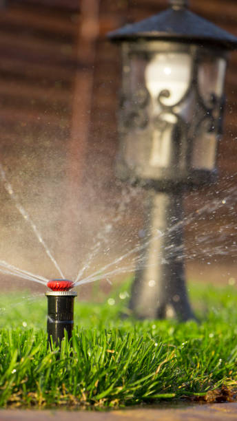 istock A rotating sprinkler spraying a water into the backyard 870076306
