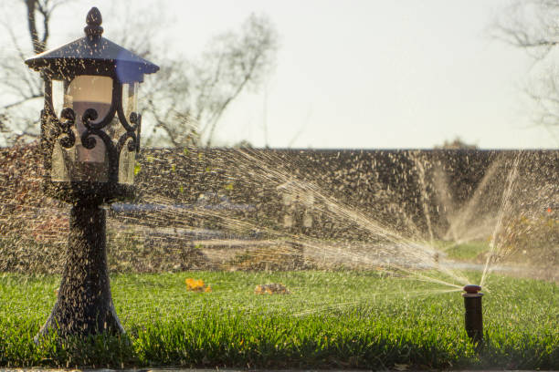 istock A rotating sprinkler spraying a water into the backyard 870076678