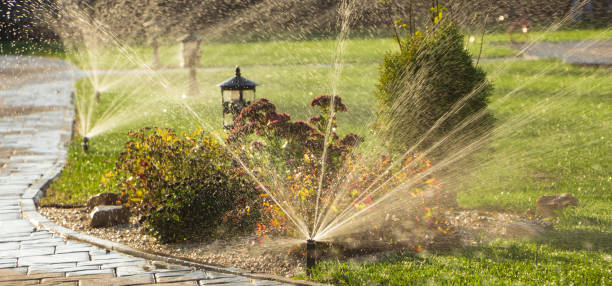 istock A rotating sprinkler spraying a water into the backyard 870076910