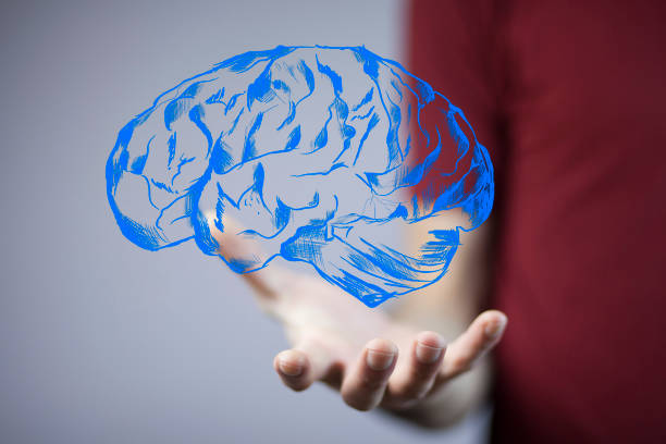 istock businessman hand holding brain 870080420