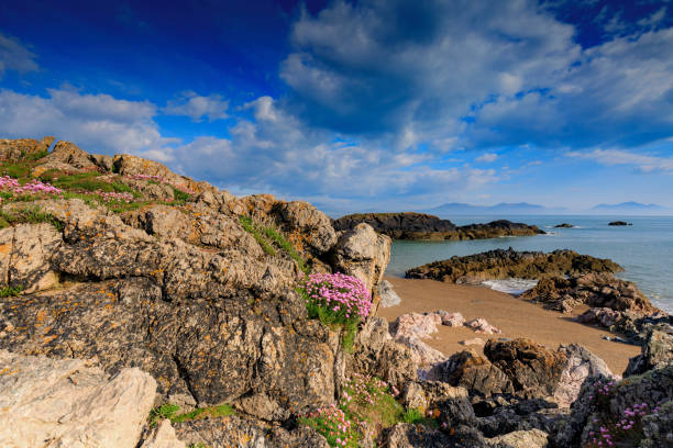 istock panoramic view of Llanddwyn Island 870083682