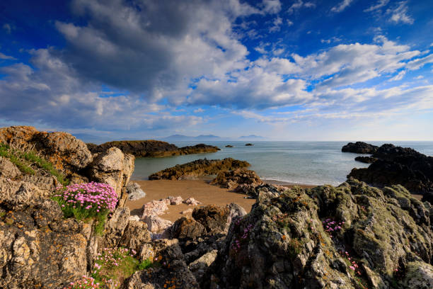 istock panoramic view of Llanddwyn Island 870083772
