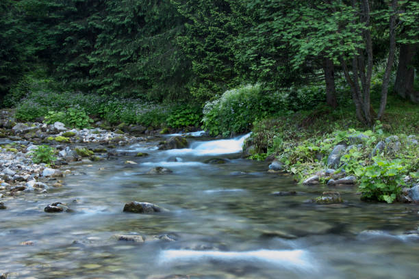 istock Stream, valley Panszczyca, Tatry, Poland 870085578