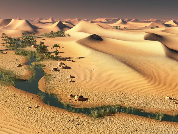 istock Spectacular sunset in the Sahara desert 3d rendering 870095048