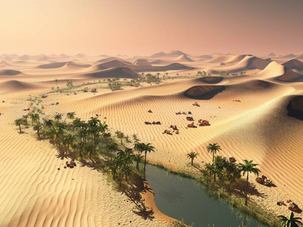 istock Lush spectacular plants on wilderness in the evening, 3d rendering 870095124