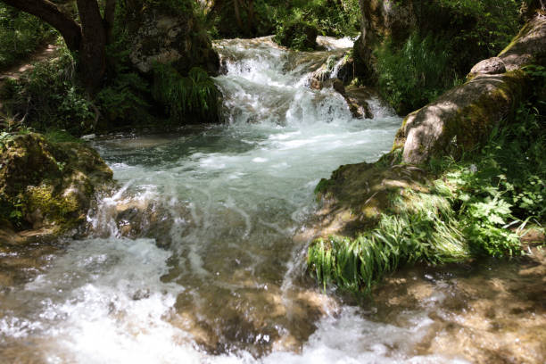 istock Beautiful waterfall in green forest 870095600