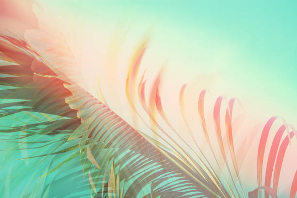 Palm tree under blue sky. Vintage background. Travel card.