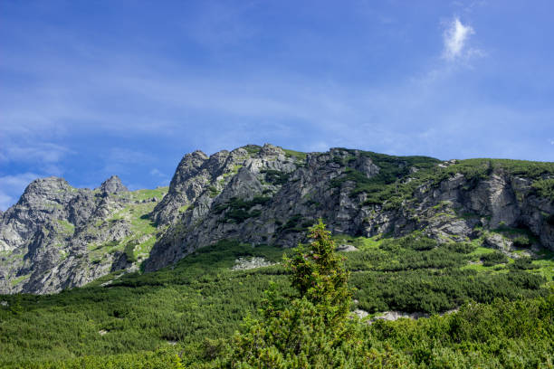 istock Rock formation, velicka valley, Tatry, Slovakia 870096174