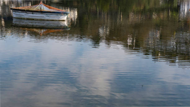 istock 4 Seasons Autumn by the river 870096452