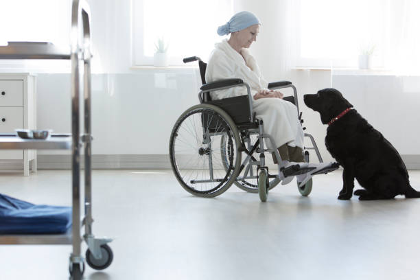hospital patient at pet therapy - senior adult dog medical equipment senior women imagens e fotografias de stock