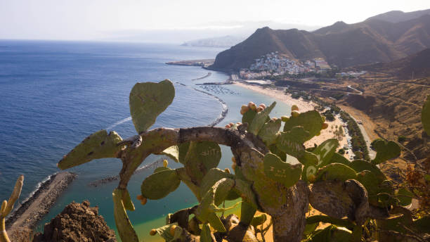 istock Tenerife landscape, Canary island. 870102990