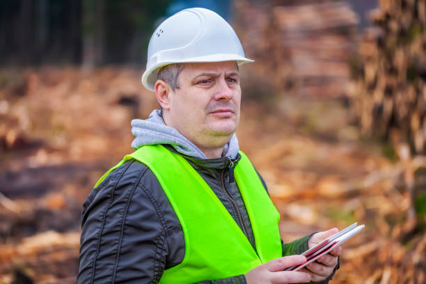 istock Forest Officer with tablet PC near piles of logs 870106264