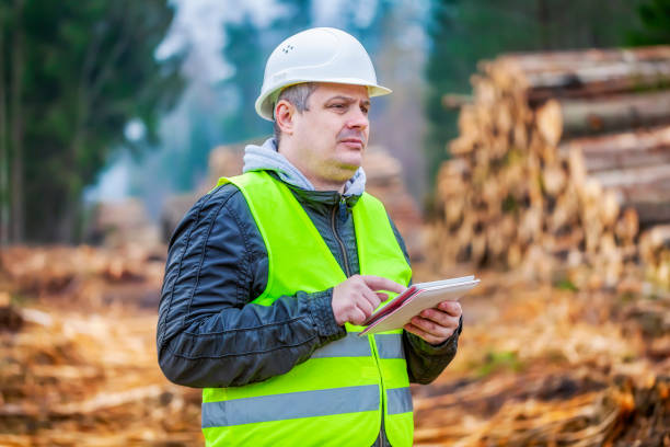istock Forest engineer with tablet PC near piles of logs in forest 870106372