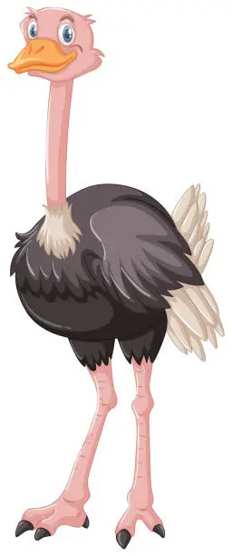Vector illustration of Cute ostrich standing on white background