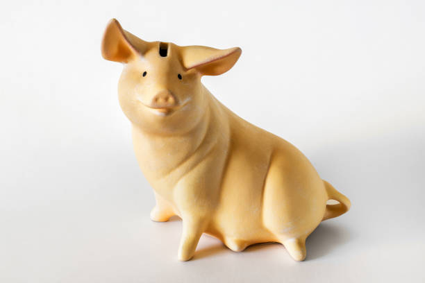 istock Piggy bank 870118772