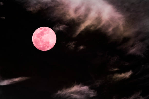 istock Pink full moon and cloud  in the dark sky at night , color effect 870125926