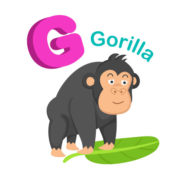 Cartoon Of The Baby Gorilla Illustrations, Royalty-Free Vector Graphics &  Clip Art - iStock