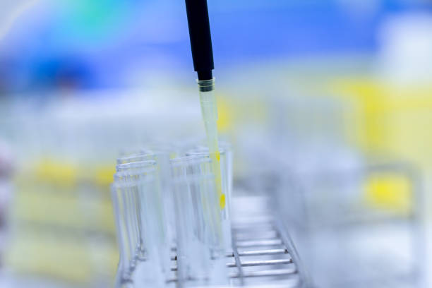istock Education Biotechnology and Experiment chemical in the laboratory. 870138962