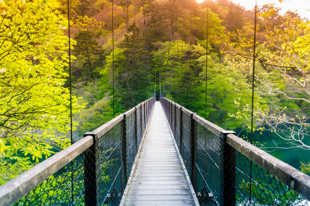 istock On a suspended bridge in a quiet mountain 870143286