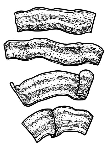 ilustrações de stock, clip art, desenhos animados e ícones de bacon illustration, drawing, engraving, ink, line art, vector - bacon ilustrações
