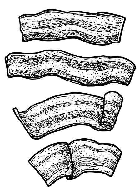 Bacon illustration, drawing, engraving, ink, line art, vector Illustration, what made by ink, then it was digitalized. bacon illustrations stock illustrations