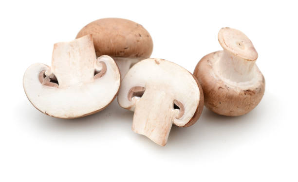 Commom mushrooms in half stock photo