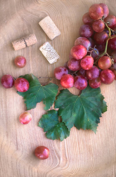 istock Rustic still life with grapes, leaves and wine stoppers on a wooden background 870153528