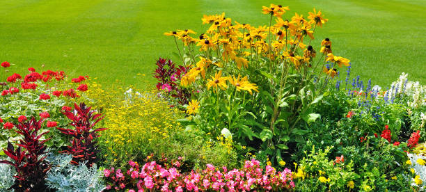 istock summer flower bed and green lawn. wide image 870157046