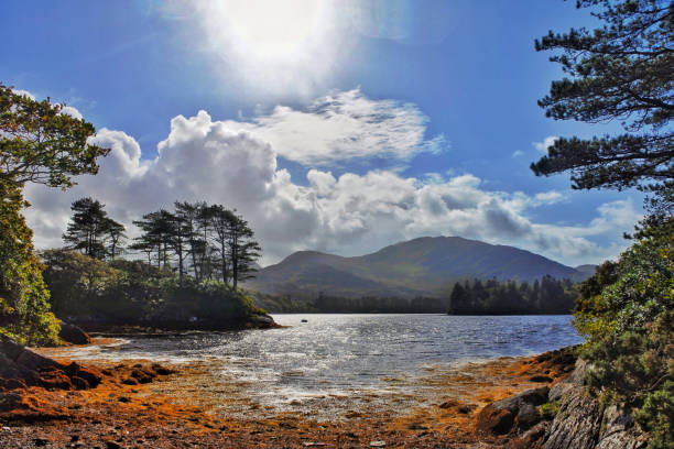 кенмаре,ирландия - kenmare river стоковые фото и изображения