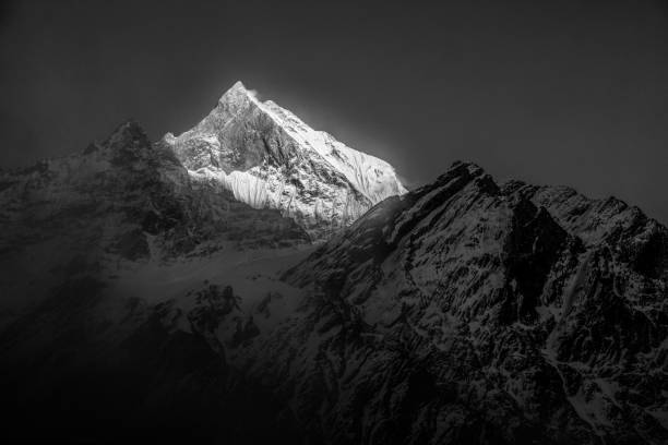 Machapuchare (Fish tail) mountain in Annapurna mountain range on Himalayas in Nepal. This summit  has never been climbed in history. Photo taken from Annapurna base camp at early morning, so the sun enlightened only high summits. Black and white photo