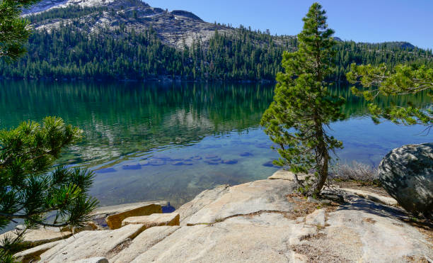 istock Yosemite National Park Landscape, California 870165940