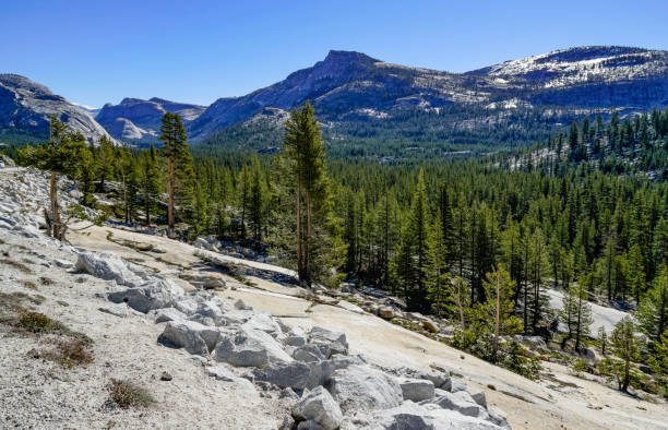 istock Yosemite National Park Landscape, California 870166282